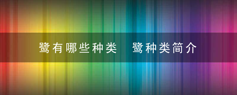 鹭有哪些种类 鹭种类简介